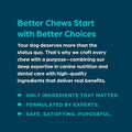Chewsday Fresh Mint Flavor Dental Chews, Small Dog Treats, Healthier Teeth and Fresher Breath, Enzyme Powered for Advanced Cleaning, Made in the USA, 13 Count