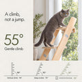 65" Tall 6-Level Cat Ladder for Window & wall | Fits Cats up to 20 lbs |cat Stairs for Window with 55° Gentle Incline | Requires 43" Floor Clearance | No-Drill