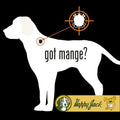 HAPPY JACK Mange Medicine & Treatment for Dogs & Horses, 16 oz