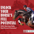 SBS Equine Starting Gate Granules - Horse Stomach Ulcer Treatment & Ulcer Relief, Horse Supplement Formula Scoop for Fee