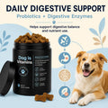 Dog Multivitamin for Itch Relief, Dog Allergy Support Chews is Human with Folic Acid, Joint, Skin &Coat, Digestive & Imm