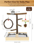 Natural Wood Bird Play Stand, Parrot Perch Playground with Feeder Cup