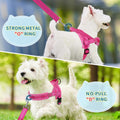 SlowTon No Pull Small Dog Harness and Leash Set with Front Clip