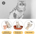 H HIDREAM Cat Clothes for Cats Only Female, Onesie for Women Spaying, Weaning, Skin Disease, Adjustable Cat Surgical Rec