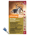 Advantage Multi Topical Solution for Dogs 1 Dose, 20.1-55 lbs (Red)