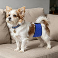 Mkono Belly Bands for Male Dogs, 3 Pack Reusable Dog Diapers