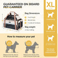 Lekereise Top-Expandable Pet Carrier 18x11x11Inch Delta American United Airline Approved Soft Sided Underseat to 15lbs T