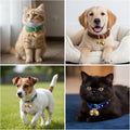 Matwsec 2PCS Bell for Dog Collar, Dog Collar Bells for Small Dogs Cat Collar Bell for Small Cats Pet Outdoor Safety Tracking Hiking Walking