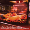 Infrared Reptile Heat Lamp Bulbs,2 PCS 50W Reptiles & Amphibians Infrared Basking Spot Lamp Bulb, Red Heat Emitter Light