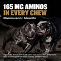 Bully Max 11-in-1 Dog Muscle Builder Power Chews - High Protein Muscle Gain Supplement with Amino Acids - Vet-Recommended for Puppy & Adult Canines, All Breeds & Ages - Made in USA - 75 Soft Chews