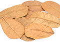 Leaf Litter for Isopods – 80 Pcs 4" Natural Indian Almond Catappa Leaves for Bioactive Vivariums, Terrariums & Aquariums