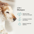 iGroom All-in-One Dog Shampoo + Conditioner, Luxury Pet Beauty Care, Deep Clean All Coat Types, Hydrate and Condition Co
