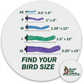 Sweet Feet and Beak Safety Pumice Bird Perch, Small Pedicure Perch