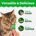 Greenies Feline Smart Purees Healthy Indoor and Skin & Fur Health Lickable Cat Treats, with Real Chicken, with Real Salmon, 0.49 oz. Tubes, 40 Count