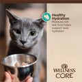 Wellness CORE Tiny Tasters Flaked Adult Wet Cat Food, Natural, Protein Rich, Grain Free, Tuna and Salmon Recipe, 1.75 oz, Pack of 12 Pouches