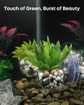 Pawfly 2 Pcs Aquarium Plant Holder, Fish Tank Plant Pot for Aquascape Decoration, Red Worm Fish Feeder, Aquarium Planter