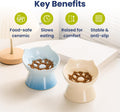 PawsPik Lynx Ceramic Raised Slow Dog & Cat Elevated Food Bowl
