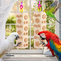 Bird Foraging Toy Parakeet Toys for Budgie, Conure, Cockatiel, Lovebird, and Small to Medium Parrots, 2 Pack Hanging Par