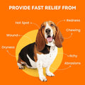 PUAINTA Hot Spot Spray for Dogs, Upgraded Quantum Silver Skin Spray for Dogs, Itch Relief and Hot Spot Treatment for Dogs, Supports Skin Infections and Irritations for All Animals, 2oz