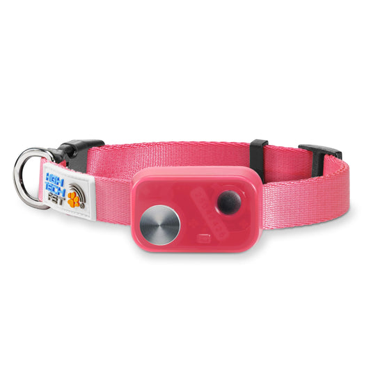 MS-5® Econ Series Automatic Pet Door Collar. Tested & Certified, Complies with Power Pet Door Performance Warranty - Value Priced Dependable Performance - Waterproof - Rugged - USA Support (Pink)