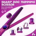 JASON Dog Grooming Scissors Set - Professional 6 in 1 Dog Shears Kit - 6.5" Thinning, 7" Straight, 7" Up-Curved, 7" Down-curved Scissors and Comb for Cat Pet with Adjustable Screw (Purple) Gift