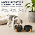 Petygooing Ceramic Dog Cat Bowls Set with Stand,Black Pet Food and Water Bowl,Small Dog Bowls Cute Modern Anti Slip Set 