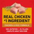 Purina ONE Chicken and Rice Formula Dry Dog Food - 16.5 lb. Bag