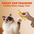 Wellix Lickable Cat Treats Salmon Oil & Chicken Flavor Cat Snacks (24 Tube)