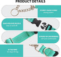 Martingale Collar for Dogs,Escape Proof No Pull, Teal, Large