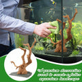 Large Aquarium Driftwood on Base 8.5-11.5 Inch Spider Wood for Reptile Tank