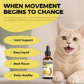 Glucosamine for Cats, Senior Hip & Joint Support, Chondroitin & MSM Drops