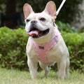Mercano Soft Mesh Dog Harness and Leash Set, Step-in Reflective Breathable Lightweight Vest Harnesses with Safety Buckle