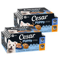 Cesar Puppy Classic Loaf in Sauce and Filets in Gravy Wet Dog Food Variety Pack, Chicken & Beef and Chicken Recipes, 3.5 oz. Easy Peel Trays, Dog Food Toppers, 12 Count (Pack of 2)