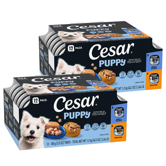 Cesar Puppy Classic Loaf in Sauce and Filets in Gravy Wet Dog Food Variety Pack, Chicken & Beef and Chicken Recipes, 3.5 oz. Easy Peel Trays, Dog Food Toppers, 12 Count (Pack of 2)