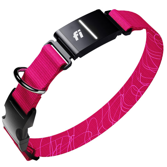 Fi New Series 3+ Smart Dog Tracker Collar [12 Month Membership Included] GPS Tracker for Dogs with Health & Behavior Monitoring, Escape Alerts, Waterproof, LED, Apple Watch Compatible (Pink, Large)