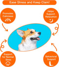 Extragele Heartbeat Puppy Toys Dog Heartbeat Toy for Dog Anxiety Relief and Calming Aid, Heartbeat Stuffed Animal for Puppy Sleep Aid Crate Training, Puppy Essentials Needs Gifts
