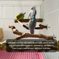 5PCS Bird Perch Stand Natural Wooden Parrot Stand Branch,3 Grape Wood Perch,2 Stand,Paw Grinding Fork Parakeet Chewing Stick Exercise Training Branches for Cockatiels,Small Medium Birds