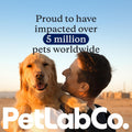 PetLab Co. Probiotics for Dogs, Support Gut Health, Occasional Diarrhea, Digestive Health & Seasonal Allergies - Pork Flavor - 30 Soft Chews - Packaging May Vary (Value 3-Pack)