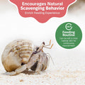 Hermit Crab Greensand – Calcium and Trace Mineral Molting Support – Non-GMO, Auto Feeder Friendly, Inert Powder Formula 