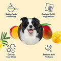 Arm & Hammer Heavy Duty Multipurpose Dog Wipes, Mango, 100 Count