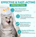 Woyamay Antibiotics for Cats, Natural Antibiotic for Allergy Relief, Urinary Tract Health, Itch Relief & Digestion Care, Cat Allergy Relief for Cats, Cat Immune Support Supplement, 2 Fl Oz
