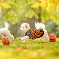 PET SHOW 4 Pack Halloween Dog Shirts for Medium Dogs Boy Girl