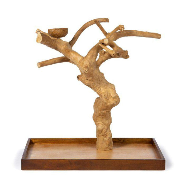 Coffeawood Tree Mini Table Top (Large)