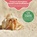 Oyster Shell Supplement for Hermit Crabs – Natural Calcium Source for Molting Support – Auto Feeder Compatible – USA-Sou