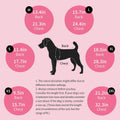 Aimydog Recovery Suit for Dogs After Surgery,Female Male Dog Onesie for Spay Neuter,Substitute E-Collar & Cone,Anti-Licking Breathable Onesie for Small Medium Large Dogs