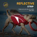 Queenmore Small Dog Life Jacket, Adjustable Dog Life Vest for Small and Medium Dogs with High Buoyancy, Lightweight Dogs
