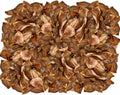 Exquisite Pets 35-Pack of Roasted Pig Ears for Dogs-Bulk All Natural, Brazilian Single-Ingredient Chews! Safe & Digestible-Full-Size Ears! Cleans Teeth & Gums. Aggressive Chewers. Treats for Dogs