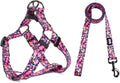 QQPETS Dog Harness Leash Set Adjustable Heavy Duty No Pull Halter Harnesses for Small Medium Large Breed Dogs Back Clip 