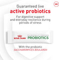Royal Canin Probiotics for Cats Digestive and Immune Health Powder Supplement for Cats of All Ages, 30 Count