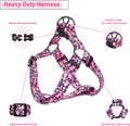 QQPETS Dog Harness Leash Set Adjustable Heavy Duty No Pull Halter Harnesses for Small Medium Large Breed Dogs Back Clip 
